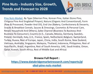 Pine Nuts Market - Industry Trends and Forecast to 2028