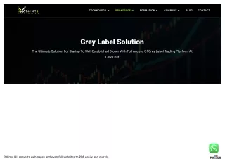 Forex MT4 Grey Label Broker