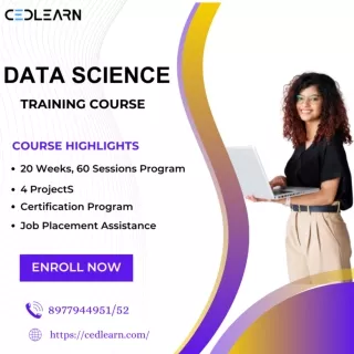 Best Data Analytics Certification for Beginners| Data Scientist Training Program