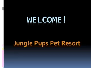 Want to get the Best Puppy Training in Mill Park
