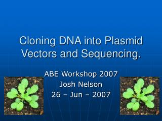 Cloning DNA into Plasmid Vectors and Sequencing.