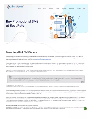 Buy Promotional SMS at Best Rate - Shree Tripada