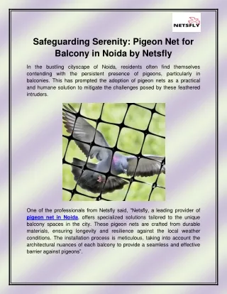 Pigeon net in Noida