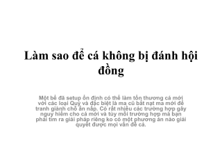 Làm sao để cá không bị đánh hội đồng