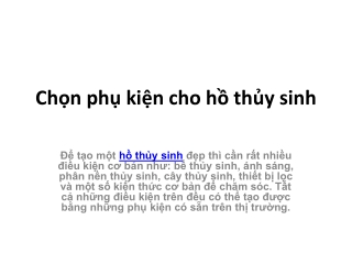 Chọn phụ kiện cho hồ thủy sinh