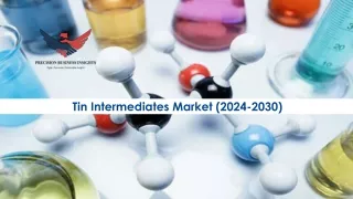 Tin Intermediates Market