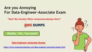 Certified Data Engineer - Associate Dumps - 100% Success Guarantee