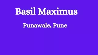 Basil Maximus Punawale Pune E-Brochure