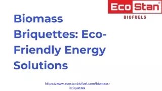 Biomass Briquettes Eco-Friendly Energy Solutions