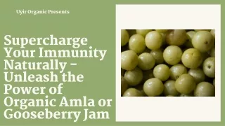 Supercharge Your Immunity Naturally - Unleash the Power of Organic Amla or Gooseberry Jam