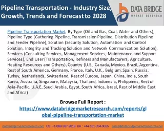 Pipeline Transportation Market - Industry Trends and Forecast to 2028