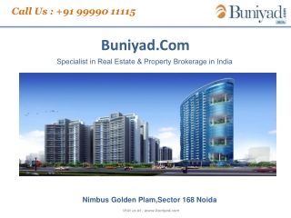 9999011115-Nimbus IITL Golden Palm