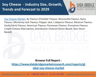 Soy Cheese Market – Industry Trends and Forecast to 2029