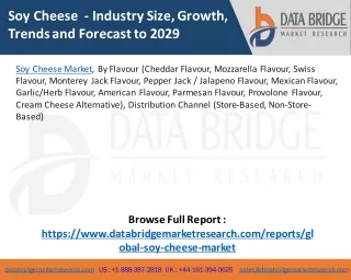 Soy Cheese Market – Industry Trends and Forecast to 2029