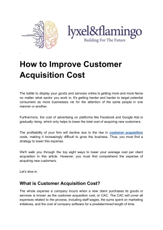 Optimizing Customer Acquisition Cost: Strategies for Efficiency and Growth By Ly