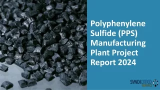 Polyphenylene Sulfide (PPS) Manufacturing Plant Project Report 2024