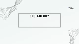 seo agency