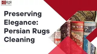 Preserving Elegance Persian Rugs Cleaning