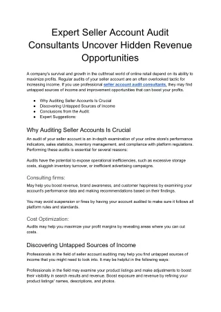 Expert Seller Account Audit Consultants Uncover Hidden Revenue Opportunities - Google Docs