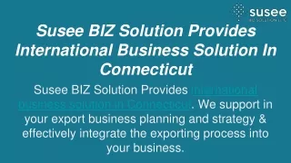 Susee BIZ Solution