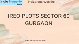 Ireo Plots in Gurgaon