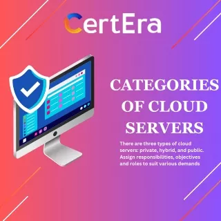 Categories of cloud servers