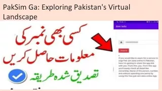PakSim Ga: Exploring Pakistan's Virtual Landscape
