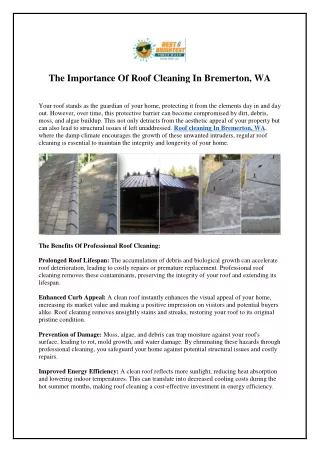 The Importance Of Roof Cleaning In Bremerton