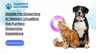 Mobile Pet Grooming in Weston: Unveiling the Purrfect Grooming Experience