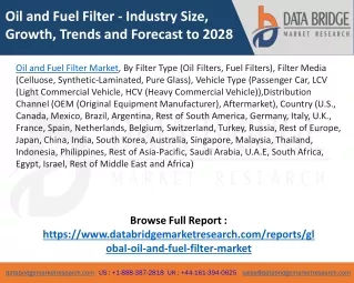 Oil and Fuel Filter Market – Industry Trends and Forecast to 2028