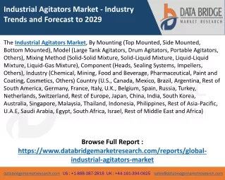 Industrial Agitators Market