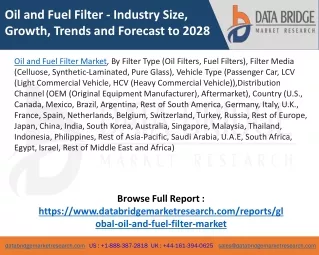 Oil and Fuel Filter Market – Industry Trends and Forecast to 2028