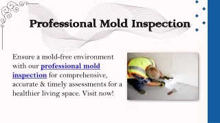 Professional Mold Inspection