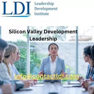 Silicon Valley Development Leadership