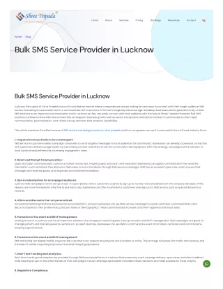 Bulk SMS Service in Lucknow | Shree Tripada