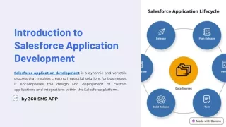 Salesforce Application Development | 360 Degree Cloud