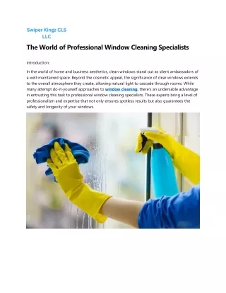 Window washing services