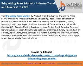 Briquetting Press Market