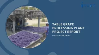 Table Grape Processing Plant Project Report 2024