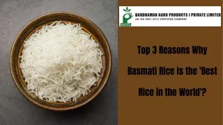 Top 3 Reasons Why Basmati Rice is the 'Best Rice in the World'