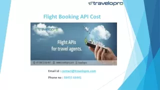 Flight Booking API Cost