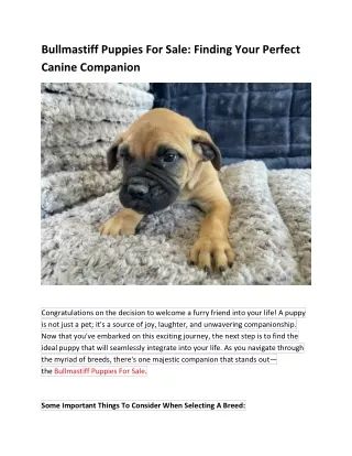 Bullmastiff Puppies For Sale