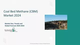 Coal Bed Methane (CBM)