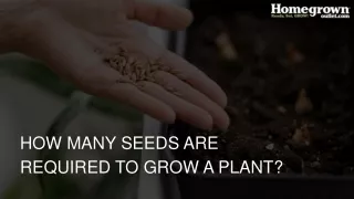 How Many Seeds to Plant?