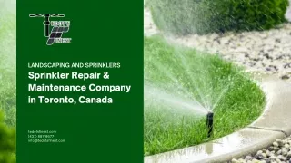 Sprinkler Repair & Maintenance Company in Toronto | Tedot's Finest