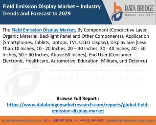 Field Emission Display Market