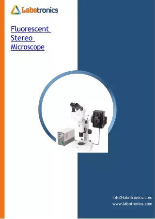 Fluorescent-Stereo-Microscope