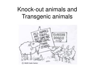 Knock-out animals and Transgenic animals