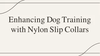 Enhancing Dog Training with Nylon Slip Collars