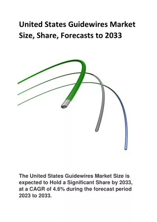 United States Guidewires